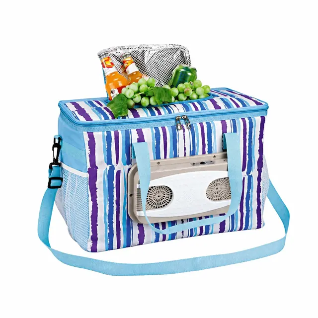 Wholesale Electric Car Cooler Bag 600D Polyester+PEVA 47×28×32cm